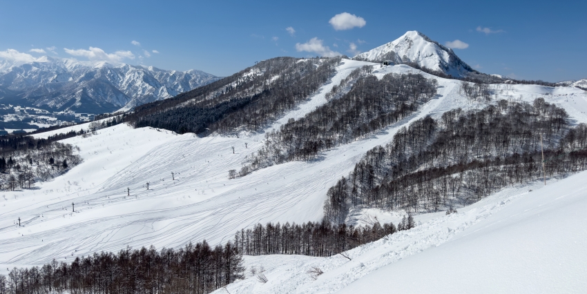 SnowJapan | The independent guide to skiing, snowboarding and ski ...