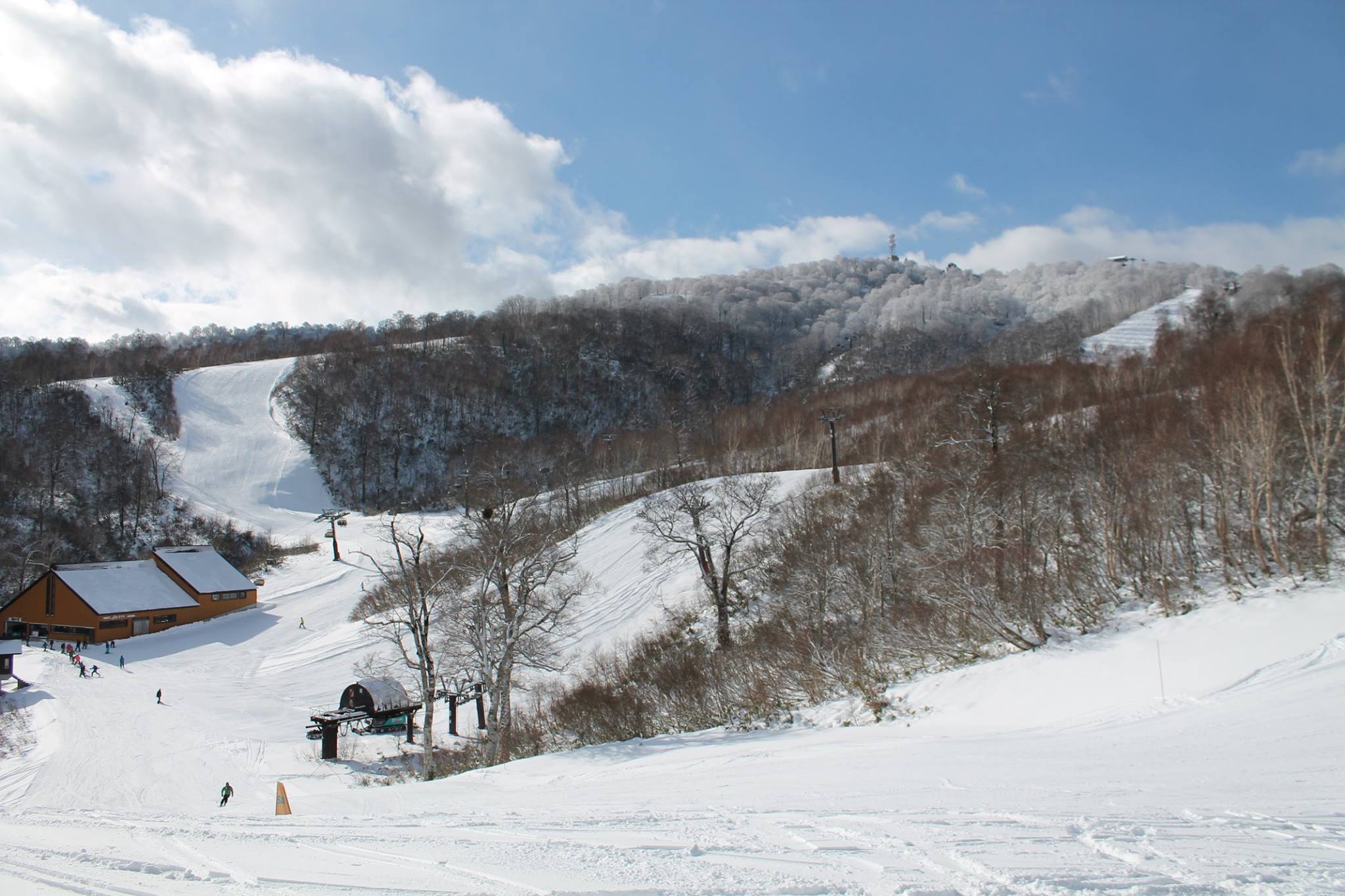 Nozawa Onsen Now (26th November 2017) | Nozawa Onsen daily snow and ...