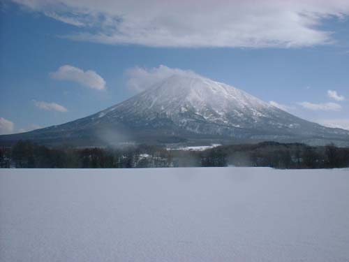 A Pint Of Petrol Barman Niseko Japan Features Snowjapan - 