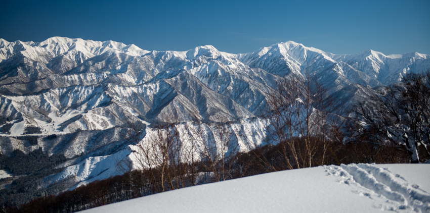 Yuzawa Kogen | Yuzawa Town | Niigata Prefecture | Resort Spotlight ...